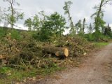 2022-05-20 - Tornado beim Sturmtief Emmelinde Solling - Steinlade bis Gehren (53)